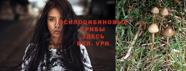 МДМА Бородино