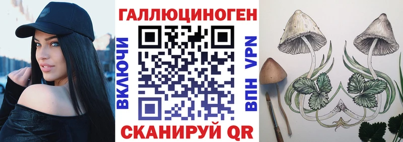Псилоцибиновые грибы мухоморы  как найти закладки  Шацк 